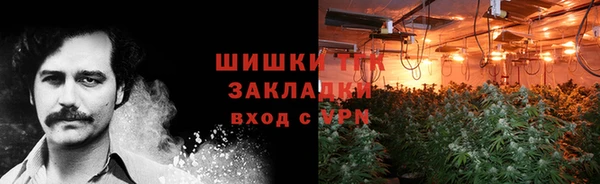 прущие грибы Абдулино