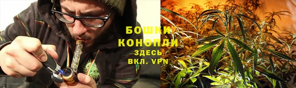 прущие грибы Абдулино